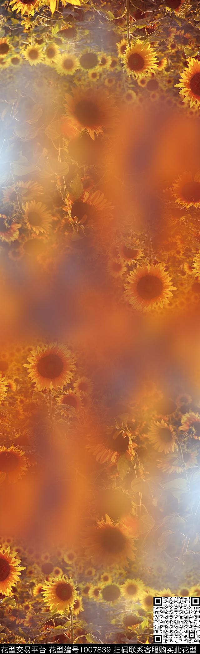 数码华亿平台围巾向日葵数码印花华亿平台下载（图片编号: 1007839） - 瓦栏（Walan）