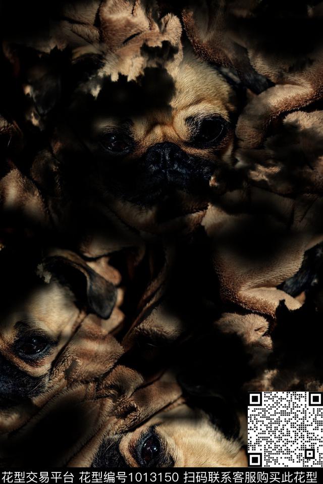 男装潮牌狗数码印花华亿平台下载（图片编号: 1013150） - 瓦栏（Walan）