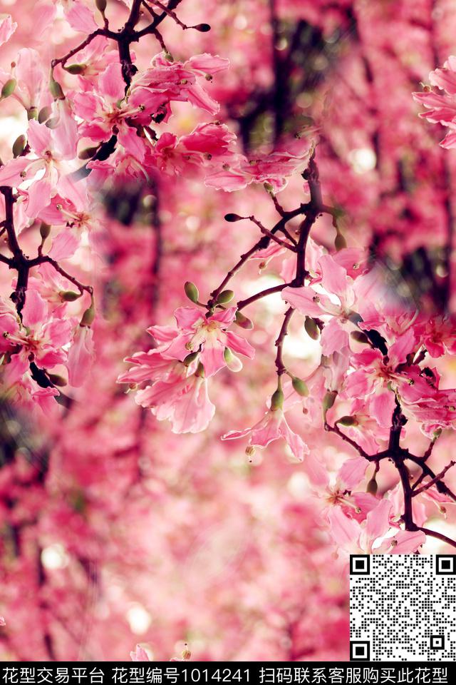 数码华亿平台木槿花女装数码印花华亿平台下载（图片编号: 1014241） - 瓦栏（Walan）