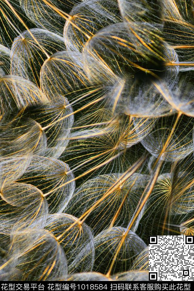 定位花花卉水墨风数码印花华亿平台下载（图片编号: 1018584） - 瓦栏（Walan）