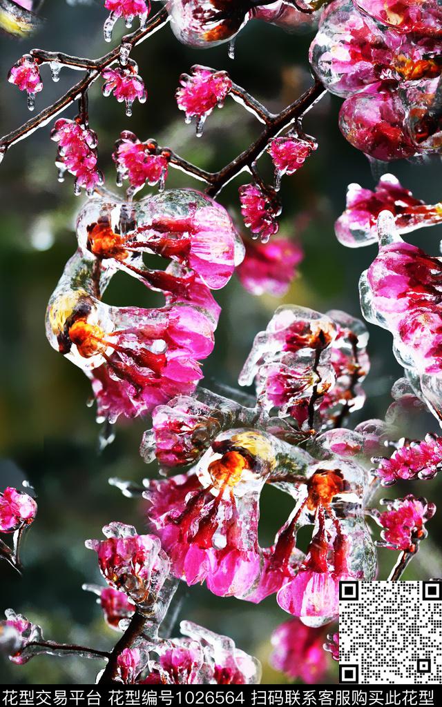 数码华亿平台梅花植物数码印花华亿平台下载（图片编号: 1026564） - 瓦栏（Walan）