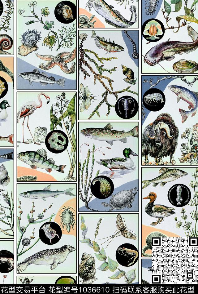 趣味动物鱼数码印花华亿平台下载（图片编号: 1036610） - 瓦栏（Walan）