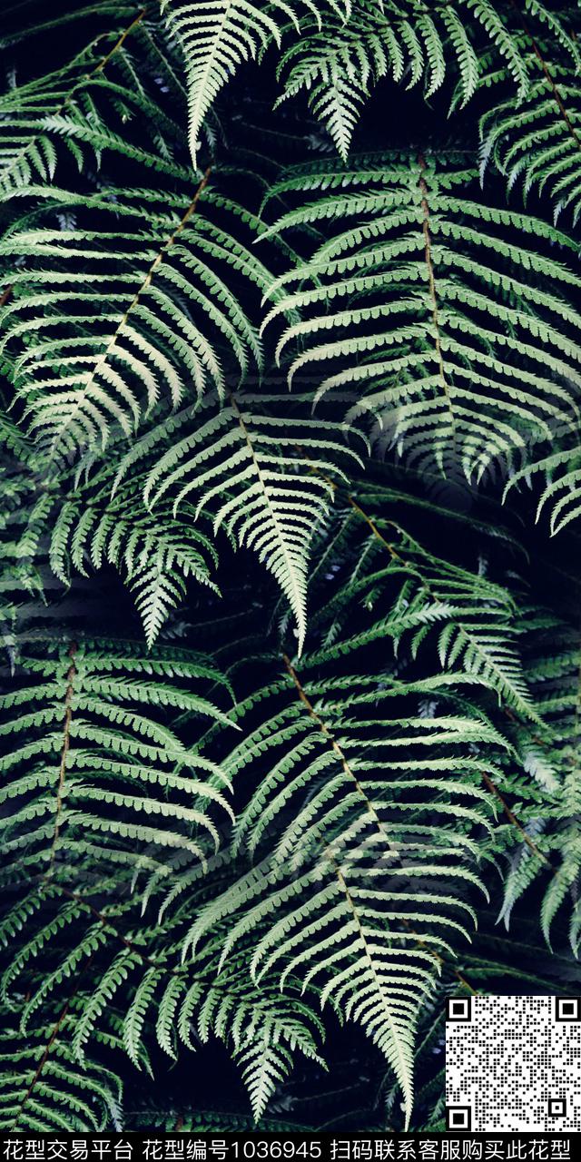 数码华亿平台植物热带华亿平台数码印花华亿平台下载（图片编号: 1036945） - 瓦栏（Walan）