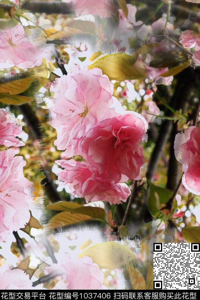 樱花盛开植物抽象花卉混搭数码印花华亿平台下载（图片编号: 1037406） - 瓦栏（Walan）