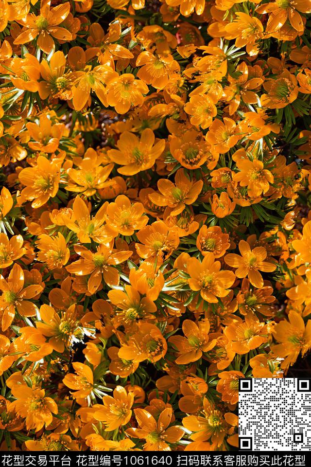 数码华亿平台肌理抽象数码印花华亿平台下载（图片编号: 1061640） - 瓦栏（Walan）