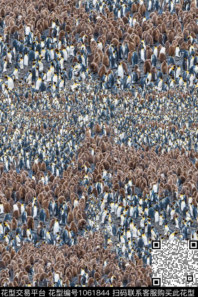 动物花卉数码华亿平台肌理数码印花华亿平台下载（图片编号: 1061844） - 瓦栏（Walan）