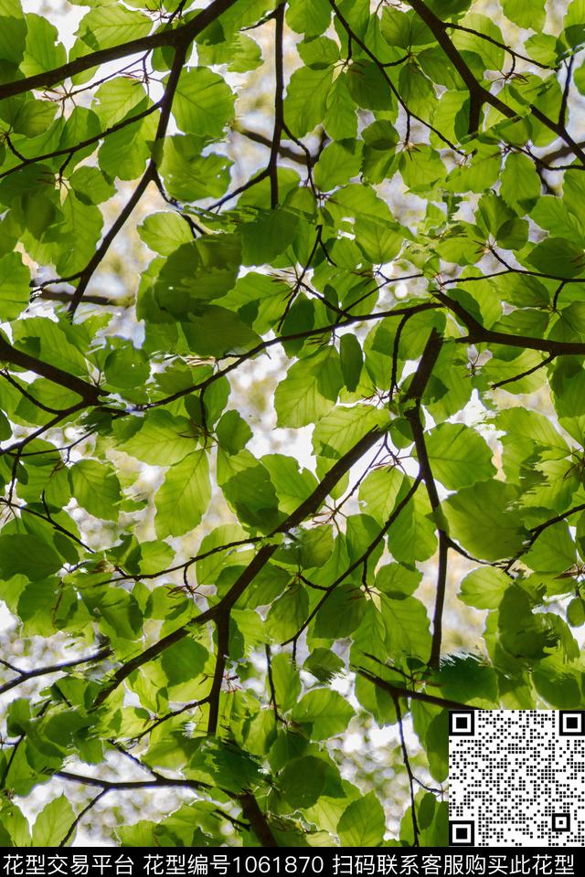 数码华亿平台肌理绿植树叶数码印花华亿平台下载（图片编号: 1061870） - 瓦栏（Walan）