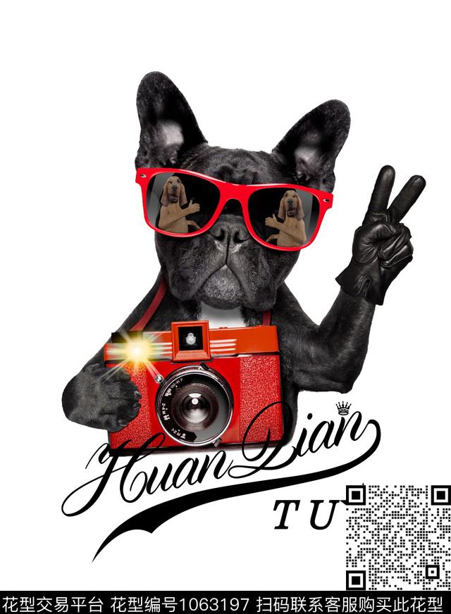 狗摄影狗照相机数码印花华亿平台下载（图片编号: 1063197） - 瓦栏（Walan）