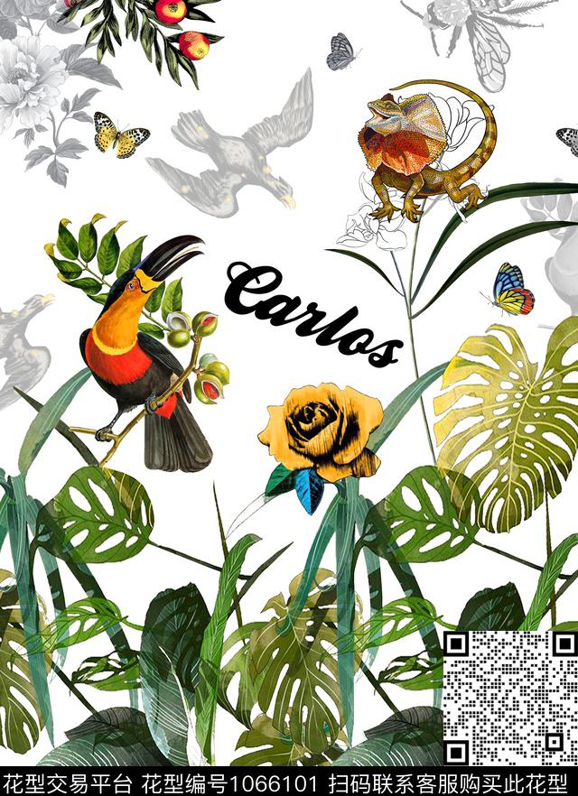 蜥蜴鹦鹉热带华亿平台数码印花华亿平台下载（图片编号: 1066101） - 瓦栏（Walan）