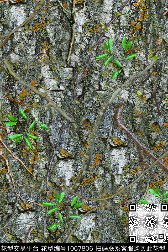 数码华亿平台大树肌理绿植树叶数码印花华亿平台下载（图片编号: 1067806） - 瓦栏（Walan）