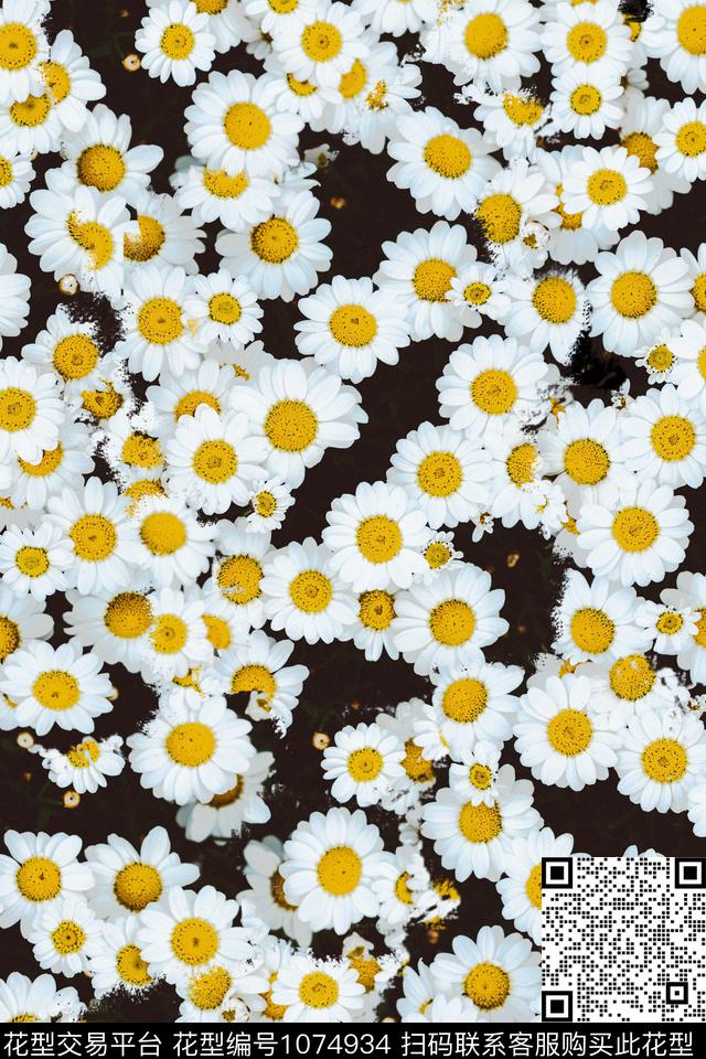 数码华亿平台肌理女装数码印花华亿平台下载（图片编号: 1074934） - 瓦栏（Walan）