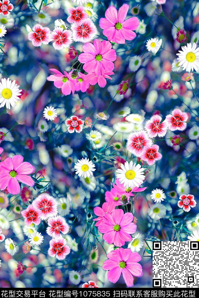 彩底花卉小碎花女装数码印花华亿平台下载（图片编号: 1075835） - 瓦栏（Walan）