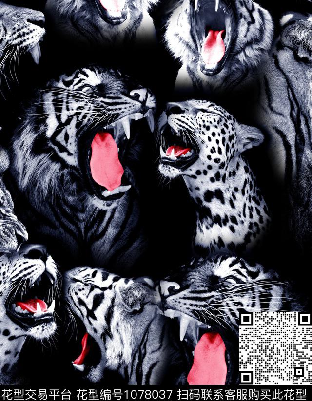 数码华亿平台男装欧美数码印花华亿平台下载（图片编号: 1078037） - 瓦栏（Walan）