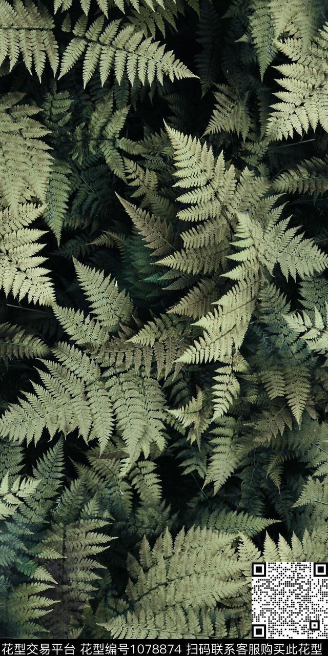 数码华亿平台植物热带华亿平台数码印花华亿平台下载（图片编号: 1078874） - 瓦栏（Walan）