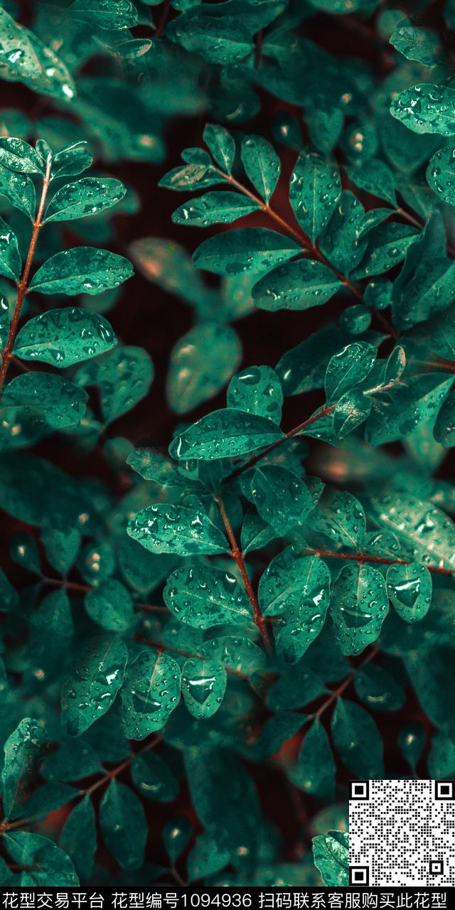 数码华亿平台植物热带华亿平台数码印花华亿平台下载（图片编号: 1094936） - 瓦栏（Walan）