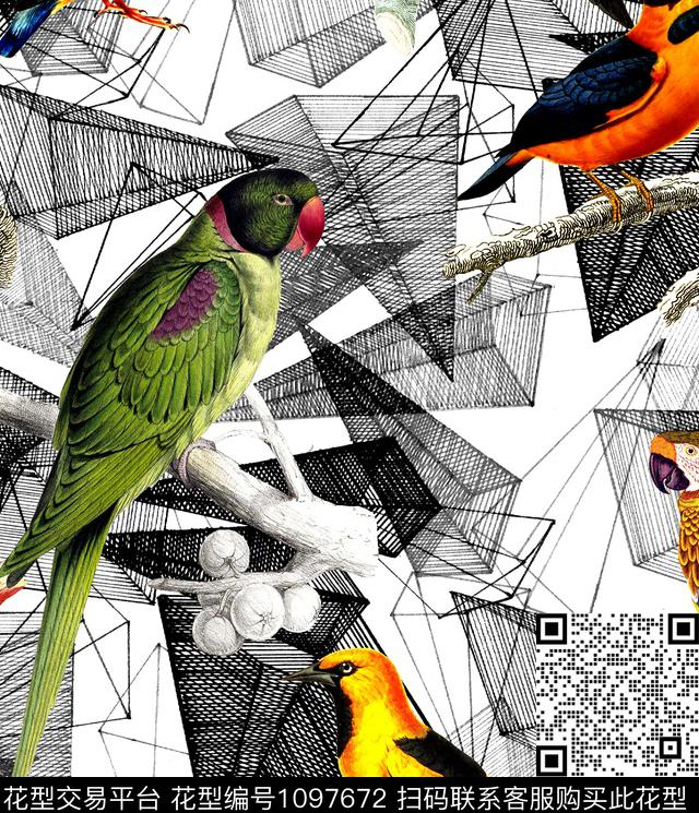 猴子天鹅鹦鹉数码印花华亿平台下载（图片编号: 1097672） - 瓦栏（Walan）