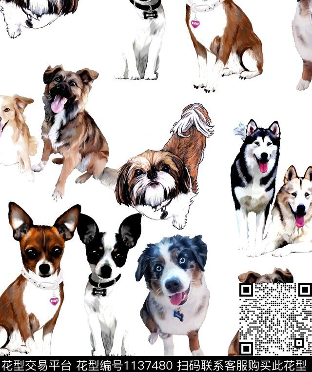 猫狗D&G数码印花华亿平台下载（图片编号: 1137480） - 瓦栏（Walan）