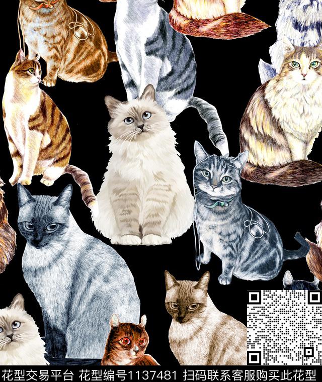 猫狗D&G数码印花华亿平台下载（图片编号: 1137481） - 瓦栏（Walan）