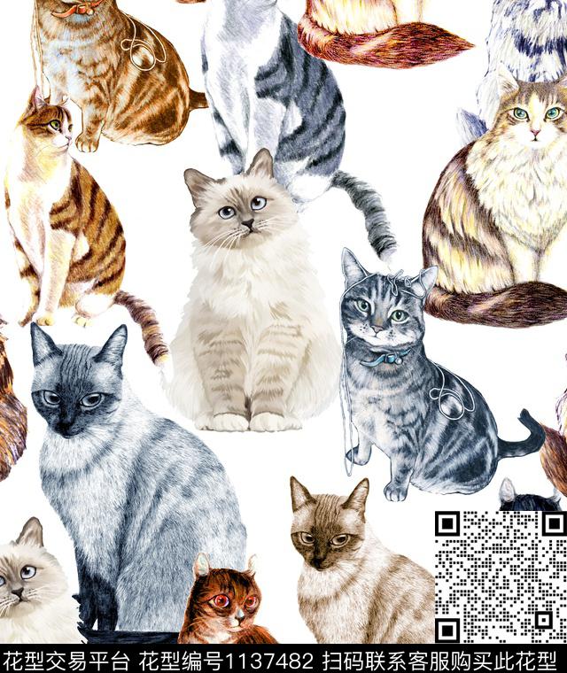 猫狗D&G数码印花华亿平台下载（图片编号: 1137482） - 瓦栏（Walan）