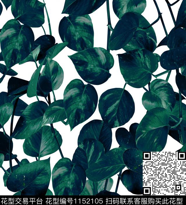 植物简约热带华亿平台传统印花华亿平台下载（图片编号: 1152105） - 瓦栏（Walan）