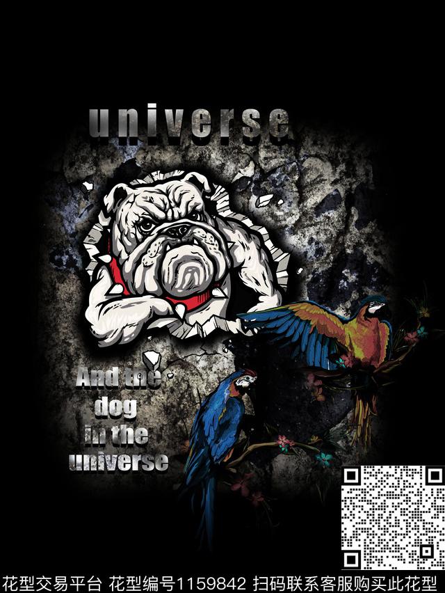 鹦鹉字母男T数码印花华亿平台下载（图片编号: 1159842） - 瓦栏（Walan）