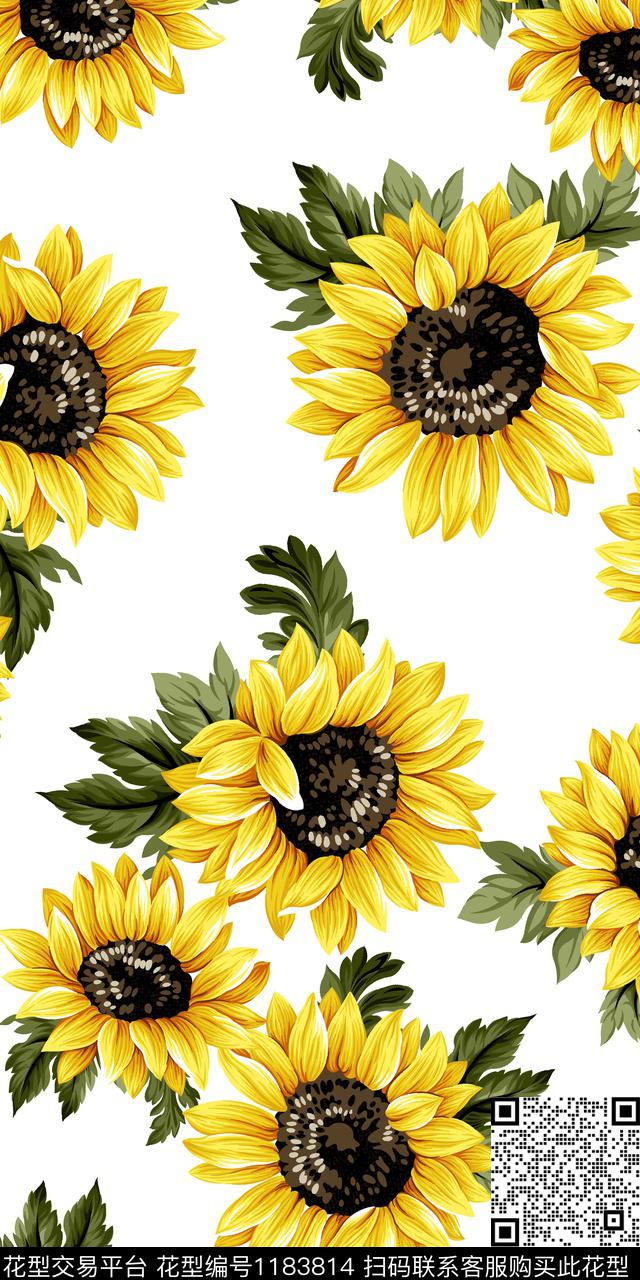 清爽底花卉向日葵高传统印花华亿平台下载（图片编号: 1183814） - 瓦栏（Walan）