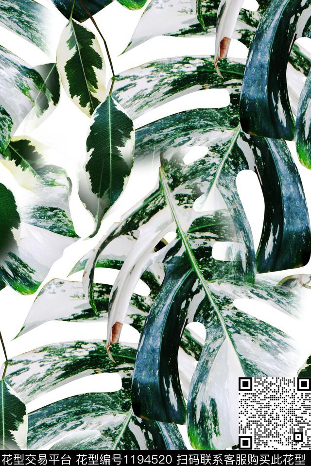 绿植树叶连衣裙热带华亿平台数码印花华亿平台下载（图片编号: 1194520） - 瓦栏（Walan）