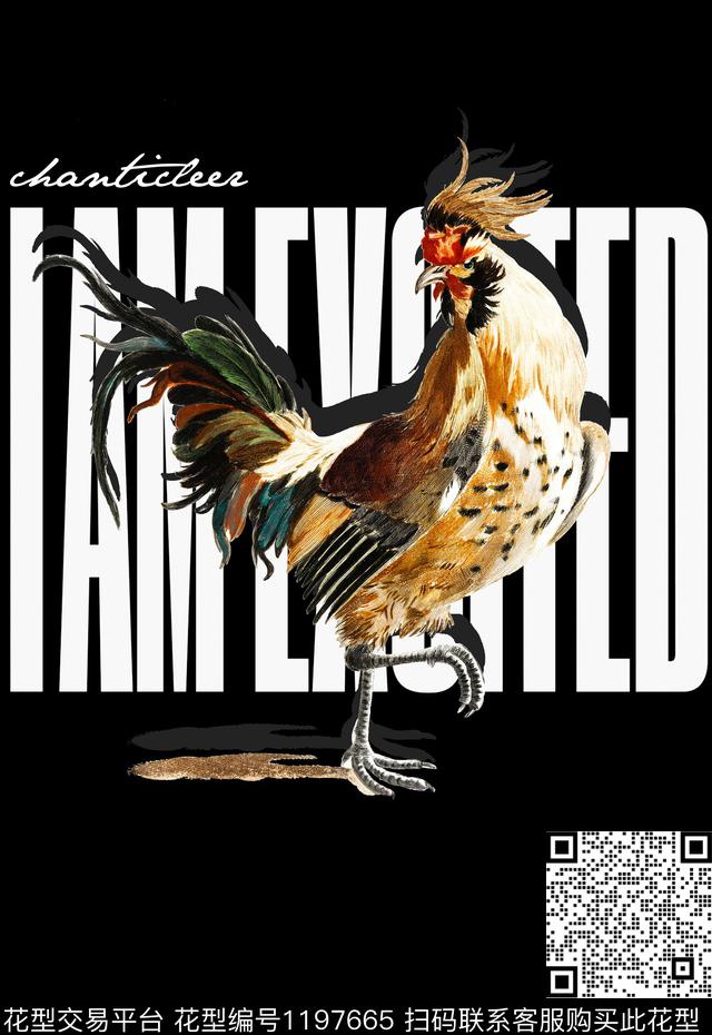 公鸡定位男装印花动物插画数码印花华亿平台下载（图片编号: 1197665） - 瓦栏（Walan）