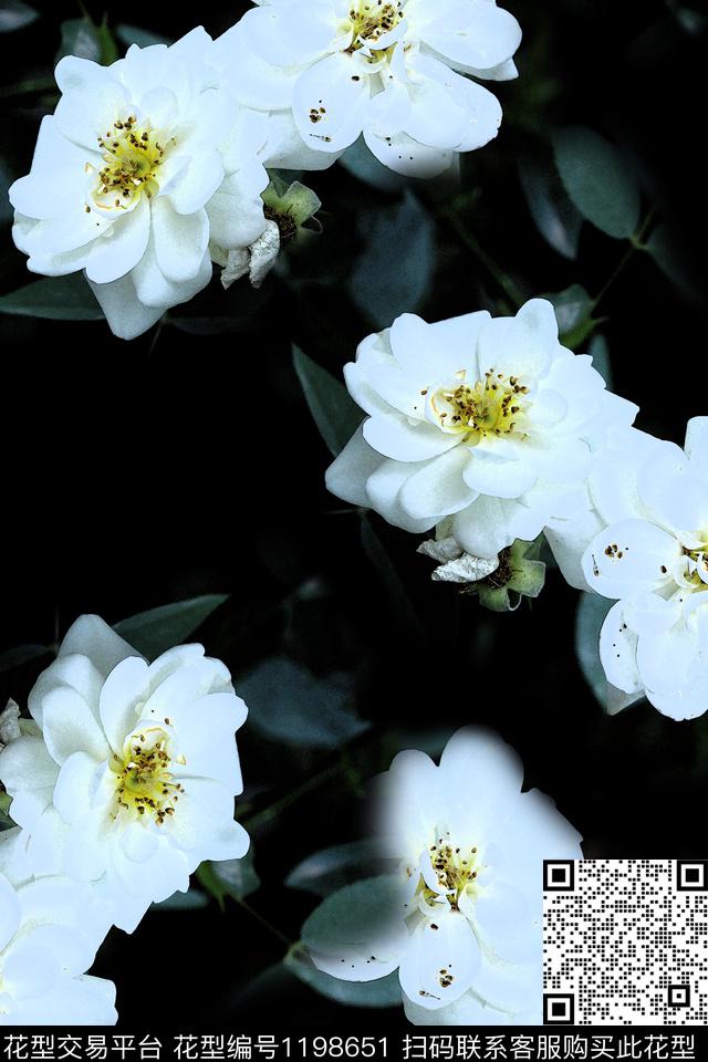 女装花卉茶花数码印花华亿平台下载（图片编号: 1198651） - 瓦栏（Walan）