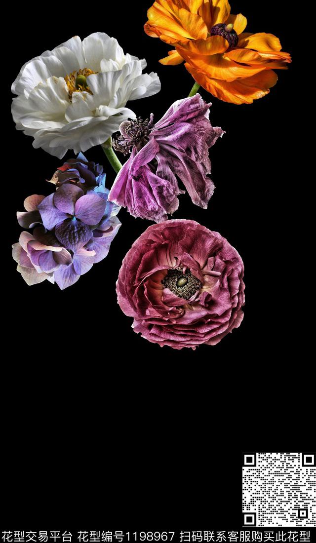 虞美人黑底花卉牡丹数码印花华亿平台下载（图片编号: 1198967） - 瓦栏（Walan）