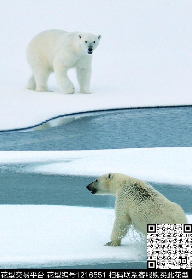 大牌风洋阳--T恤T恤衫数码印花华亿平台下载（图片编号: 1216551） - 瓦栏（Walan）