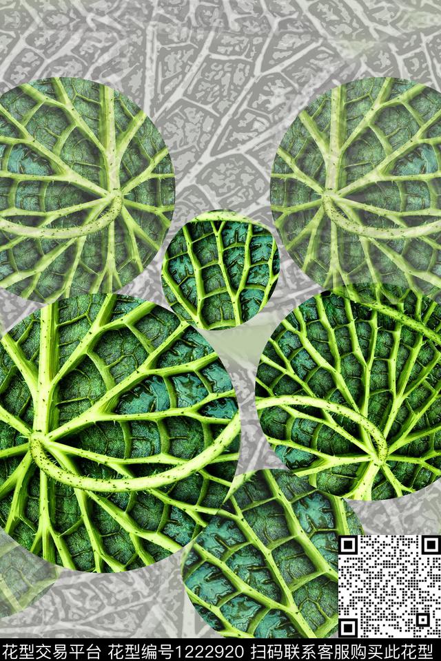 植物男装休闲花卉个性照片数码印花华亿平台下载（图片编号: 1222920） - 瓦栏（Walan）
