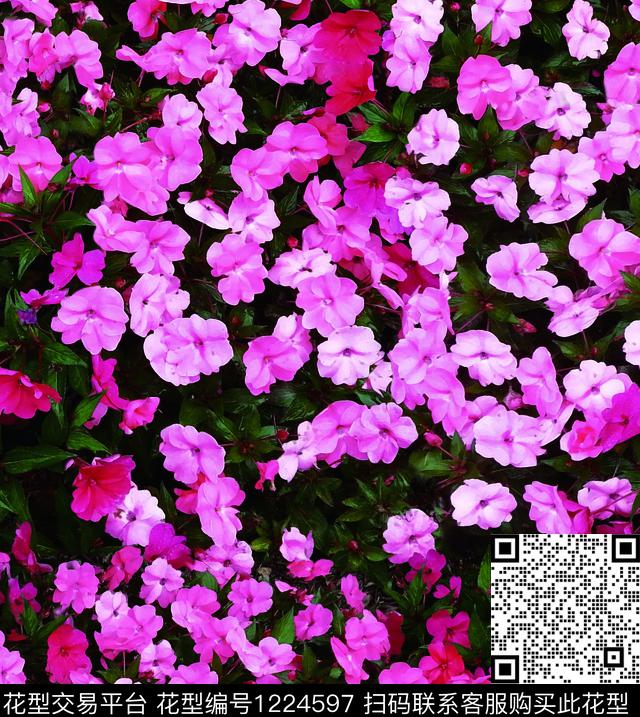花卉大牌风小碎花数码印花华亿平台下载（图片编号: 1224597） - 瓦栏（Walan）