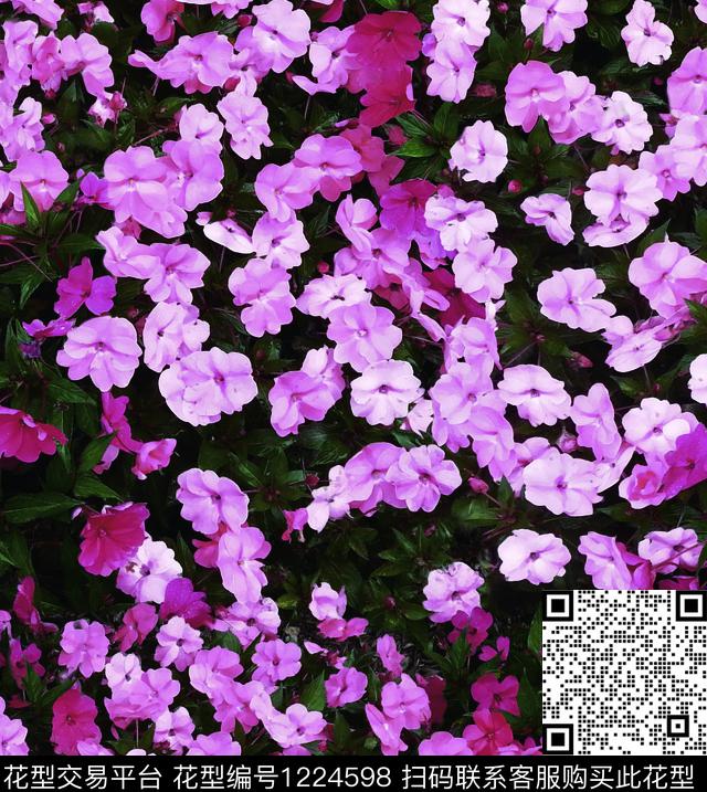 花卉大牌风小碎花数码印花华亿平台下载（图片编号: 1224598） - 瓦栏（Walan）