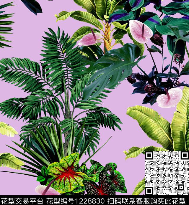 仙人掌铁树芭蕉树数码印花华亿平台下载（图片编号: 1228830） - 瓦栏（Walan）