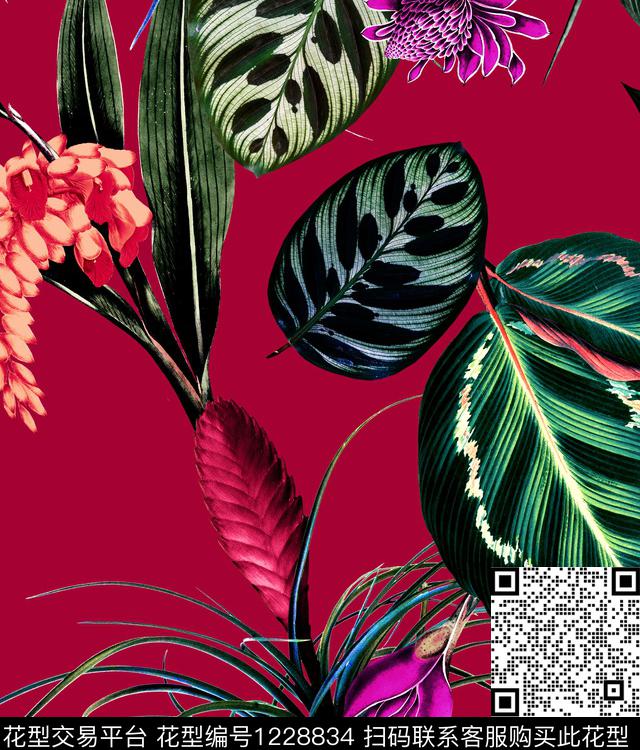 仙人掌铁树芭蕉树数码印花华亿平台下载（图片编号: 1228834） - 瓦栏（Walan）