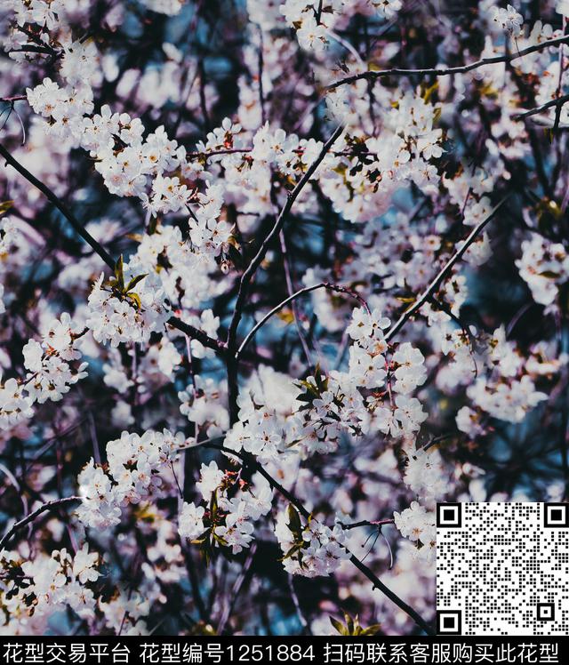 麦穗樱花数码印花华亿平台下载（图片编号: 1251884） - 瓦栏（Walan）