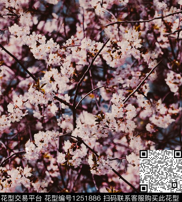 麦穗樱花荷花数码印花华亿平台下载（图片编号: 1251886） - 瓦栏（Walan）