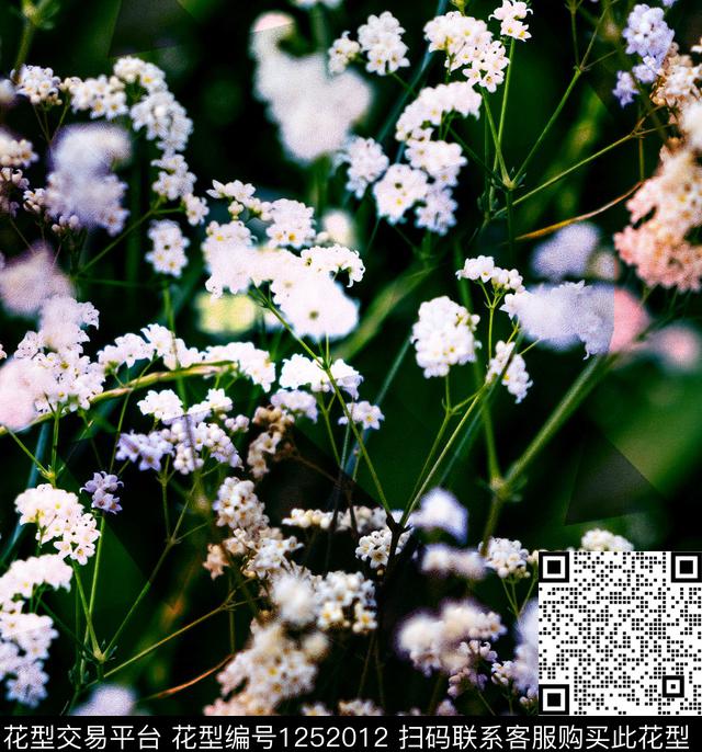 麦穗樱花数码印花华亿平台下载（图片编号: 1252012） - 瓦栏（Walan）