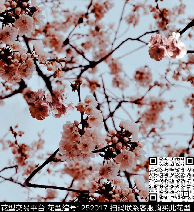 麦穗樱花数码印花华亿平台下载（图片编号: 1252017） - 瓦栏（Walan）