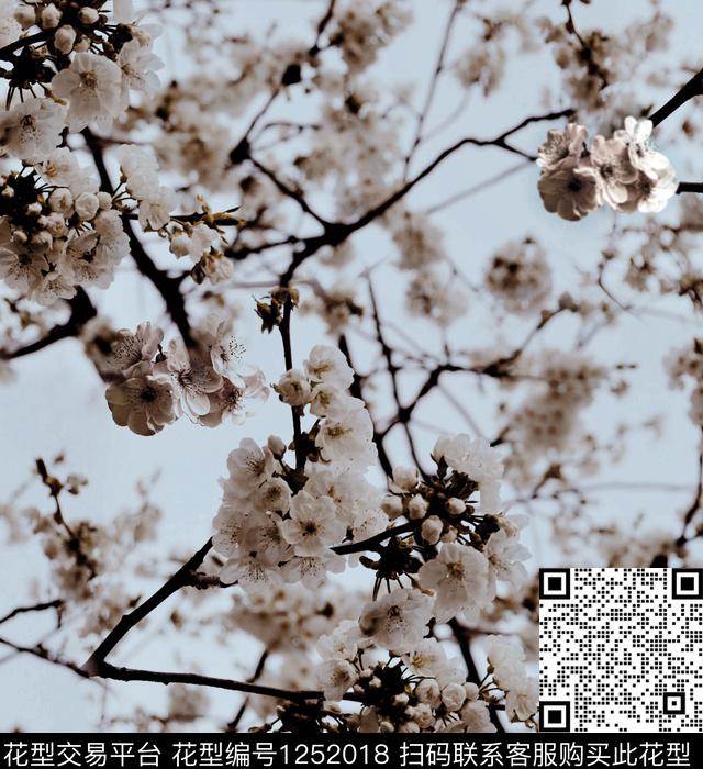 麦穗樱花荷花数码印花华亿平台下载（图片编号: 1252018） - 瓦栏（Walan）