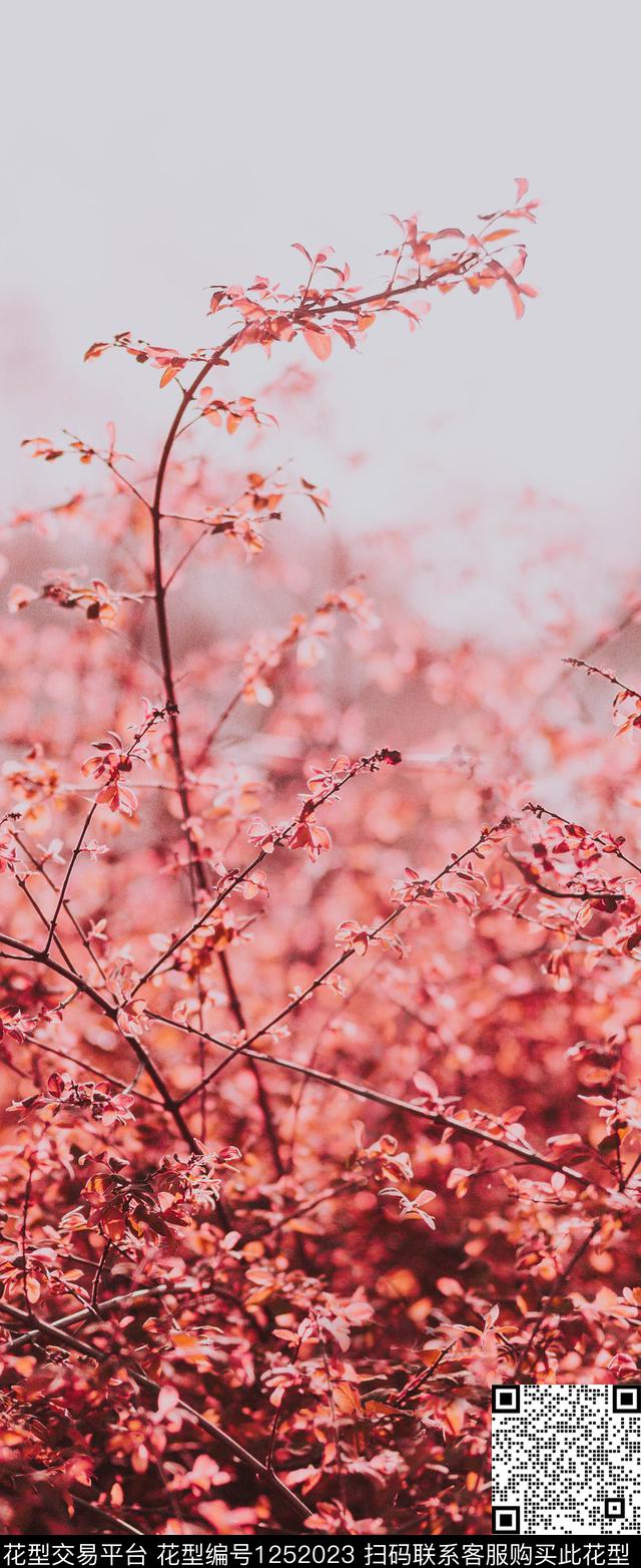 风景景观绿植树叶迎春花数码印花华亿平台下载（图片编号: 1252023） - 瓦栏（Walan）