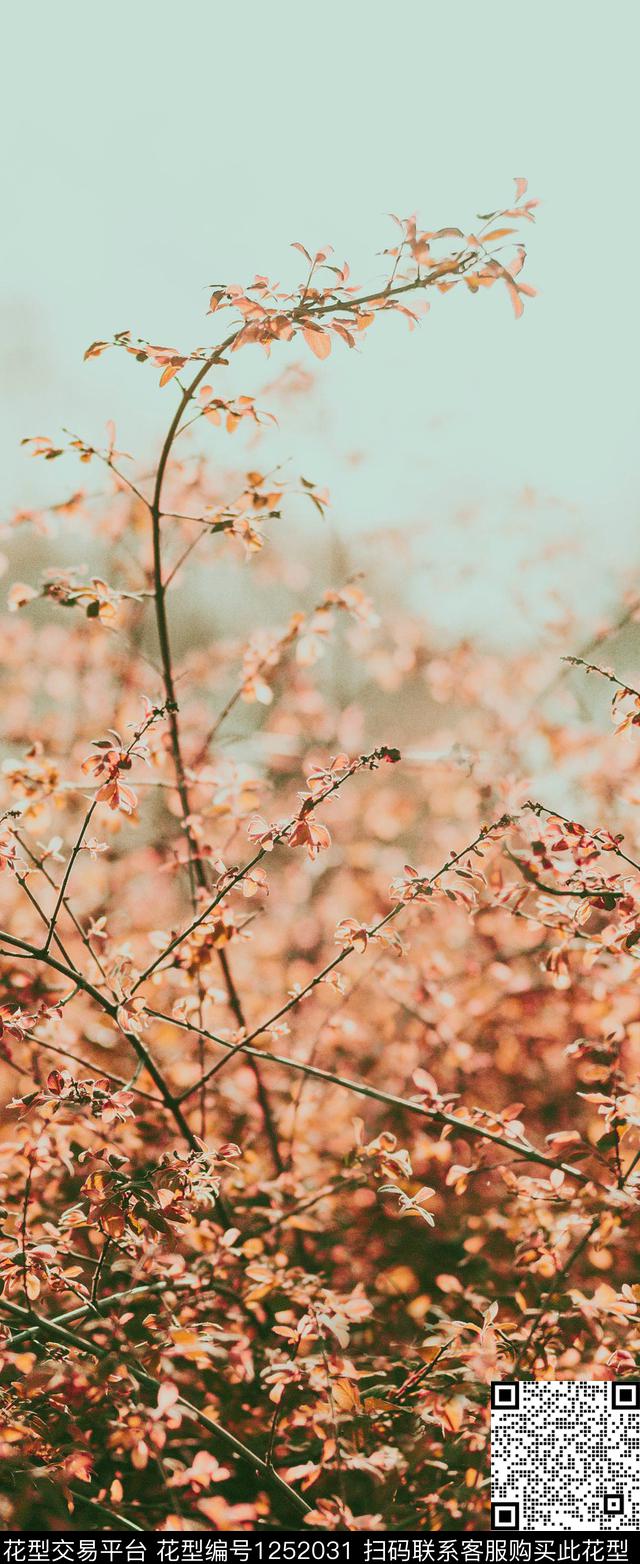 风景景观绿植树叶迎春花数码印花华亿平台下载（图片编号: 1252031） - 瓦栏（Walan）