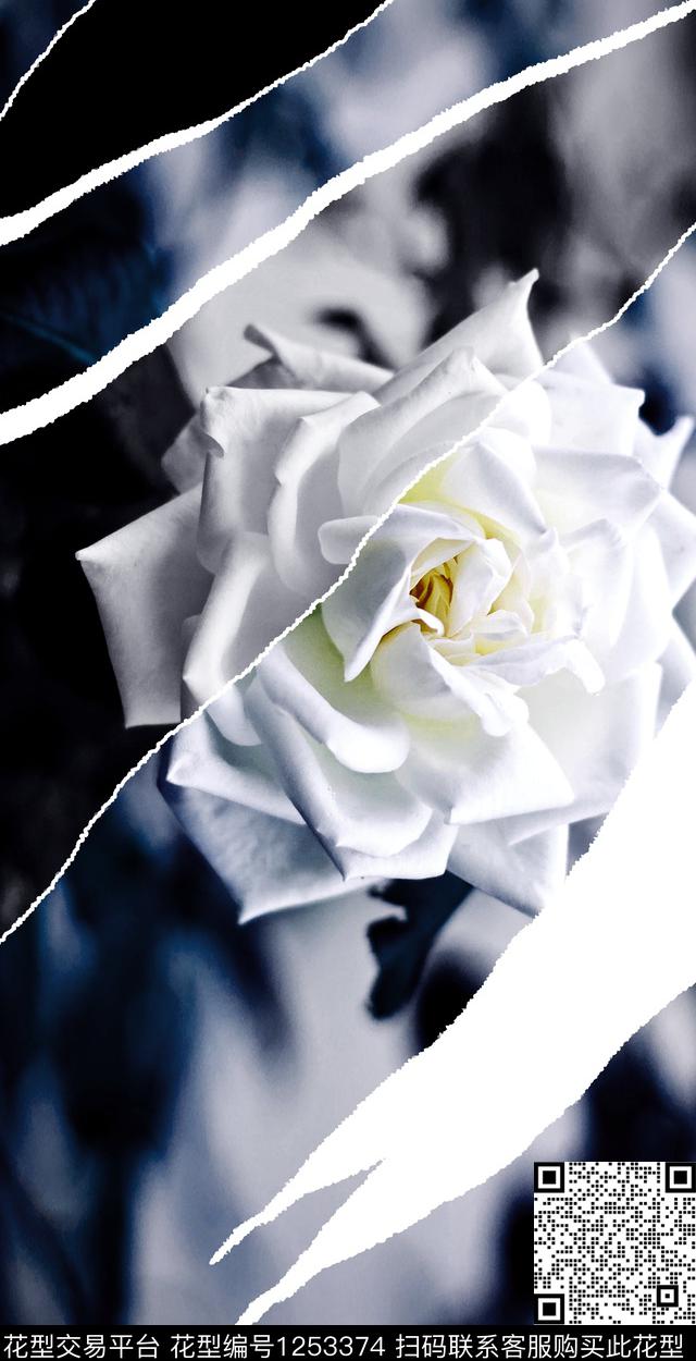 玫瑰花月季花撕裂数码印花华亿平台下载（图片编号: 1253374） - 瓦栏（Walan）