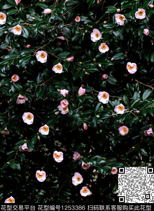 小碎花绿植树叶VALENTINO数码印花华亿平台下载（图片编号: 1253386） - 瓦栏（Walan）