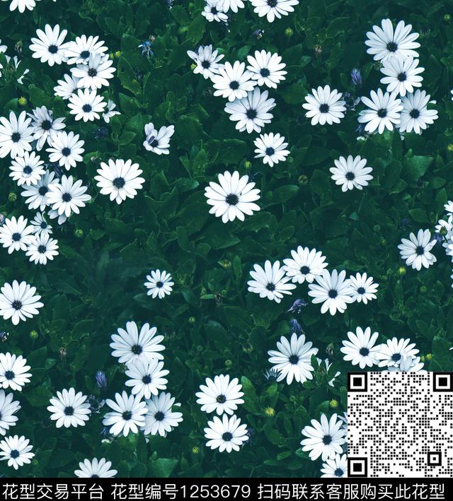 大牌风小碎花梅花数码印花华亿平台下载（图片编号: 1253679） - 瓦栏（Walan）