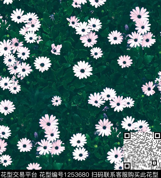 大牌风小碎花梅花数码印花华亿平台下载（图片编号: 1253680） - 瓦栏（Walan）