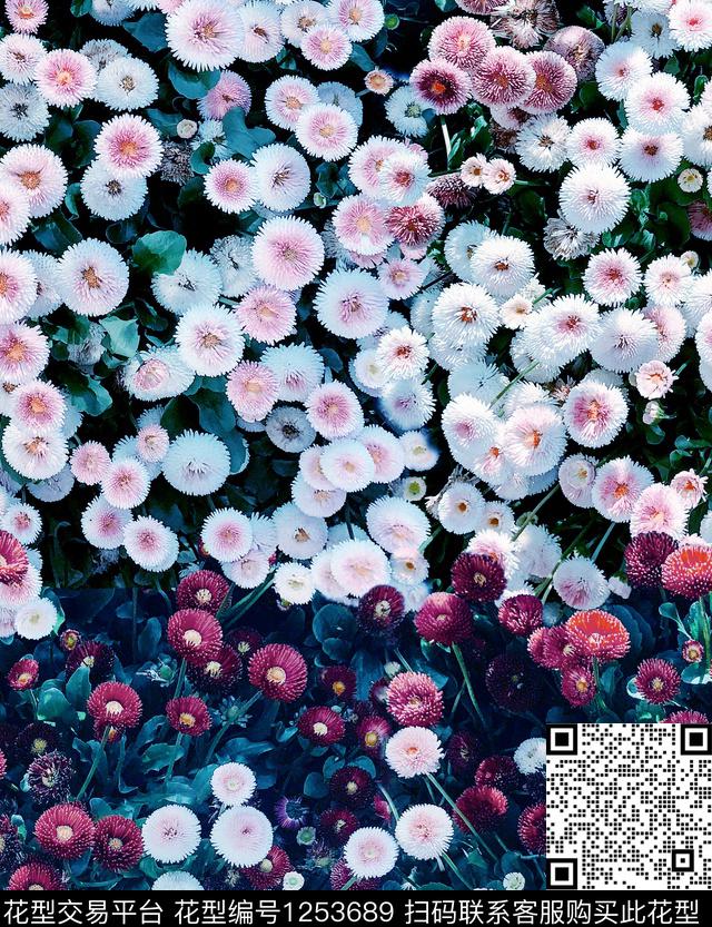 大牌风小碎花梅花数码印花华亿平台下载（图片编号: 1253689） - 瓦栏（Walan）