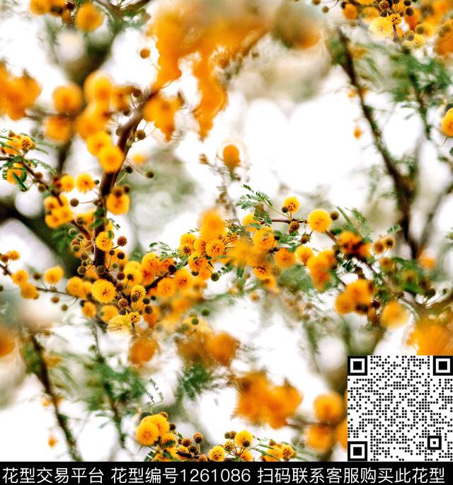 大牌风小碎花新品数码印花华亿平台下载（图片编号: 1261086） - 瓦栏（Walan）