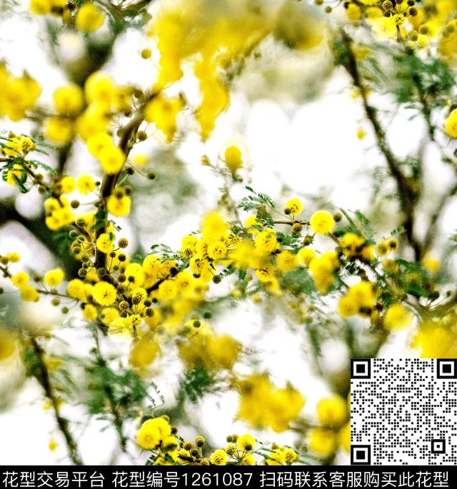 大牌风小碎花新品数码印花华亿平台下载（图片编号: 1261087） - 瓦栏（Walan）